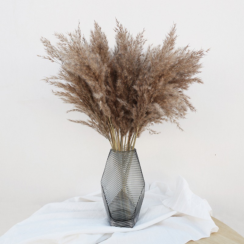 10Pcs Colorful Natural Reeds P - Pampas Grass Decor recension och pris