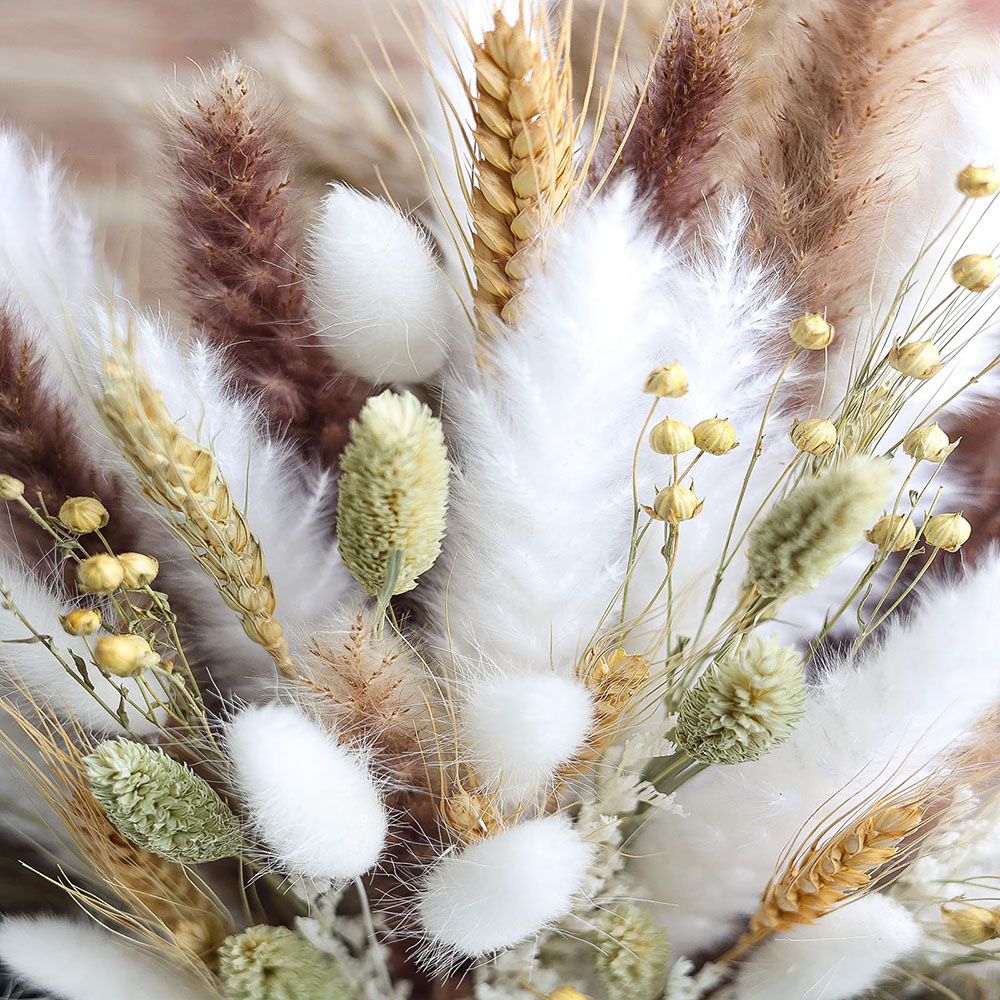 100pcs Dried Pampas Grass Bouq - Pampas Grass Decor recension och pris