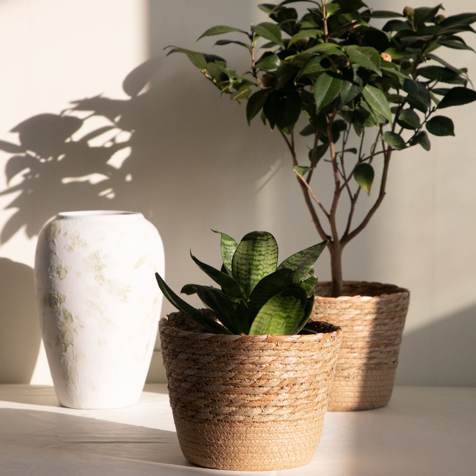 Multi-purpose Woven Storage Ba - Rattan Plant Basket recension och pris