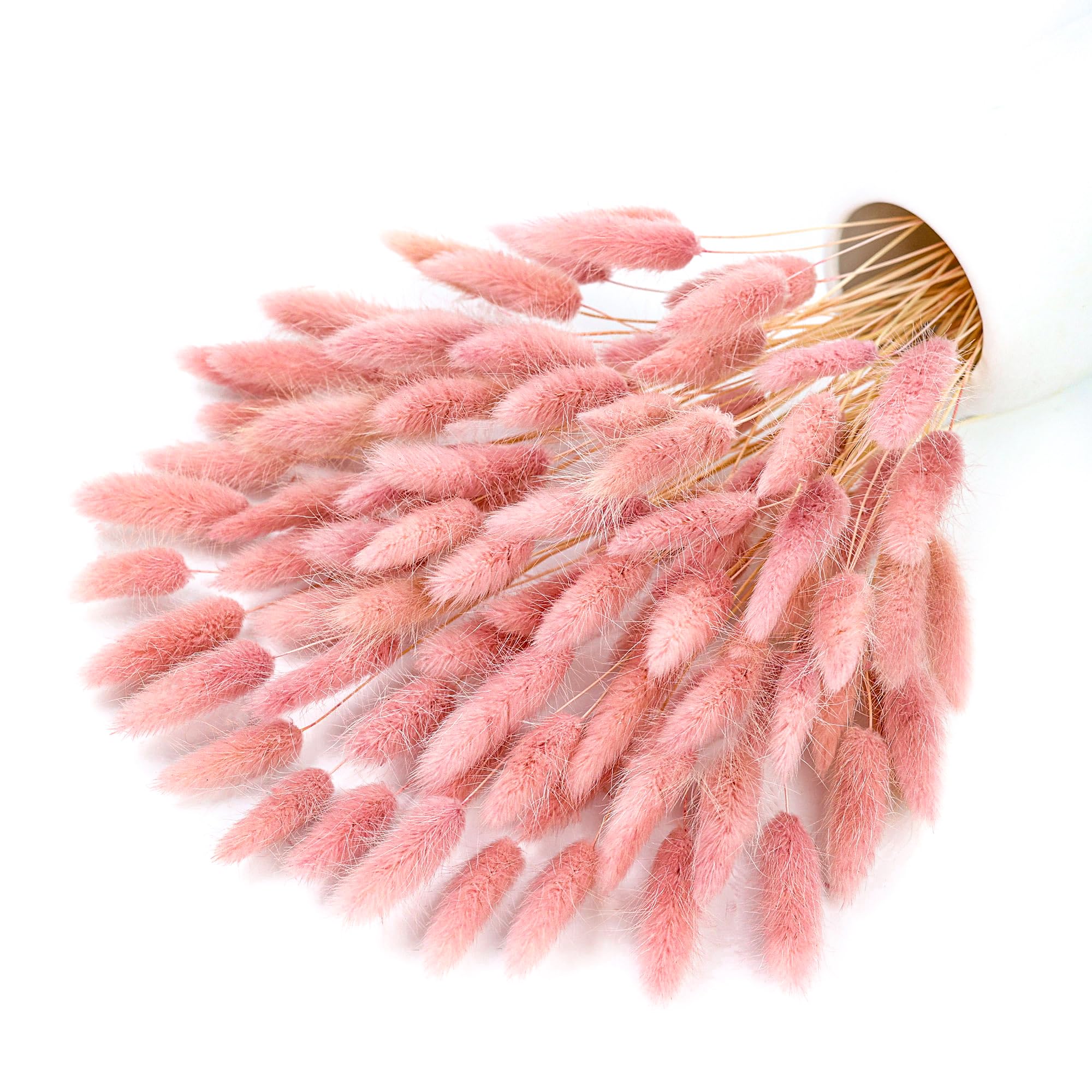 120 Stem Pink Dried Pampas Bun - Pampas Grass Decor recension och pris