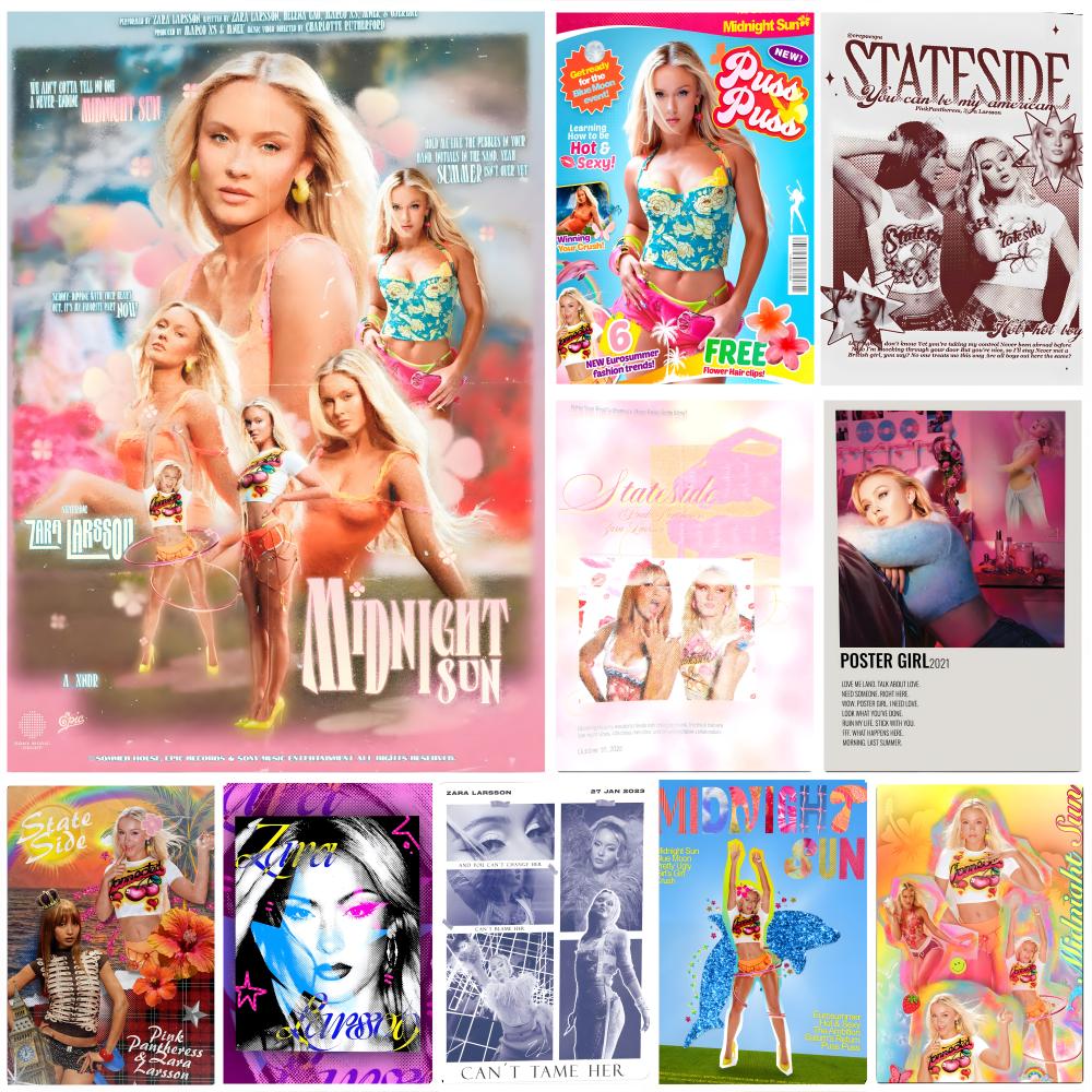 Singer Z-Zara L-Larsson Poster - Home Decor Za recension och pris