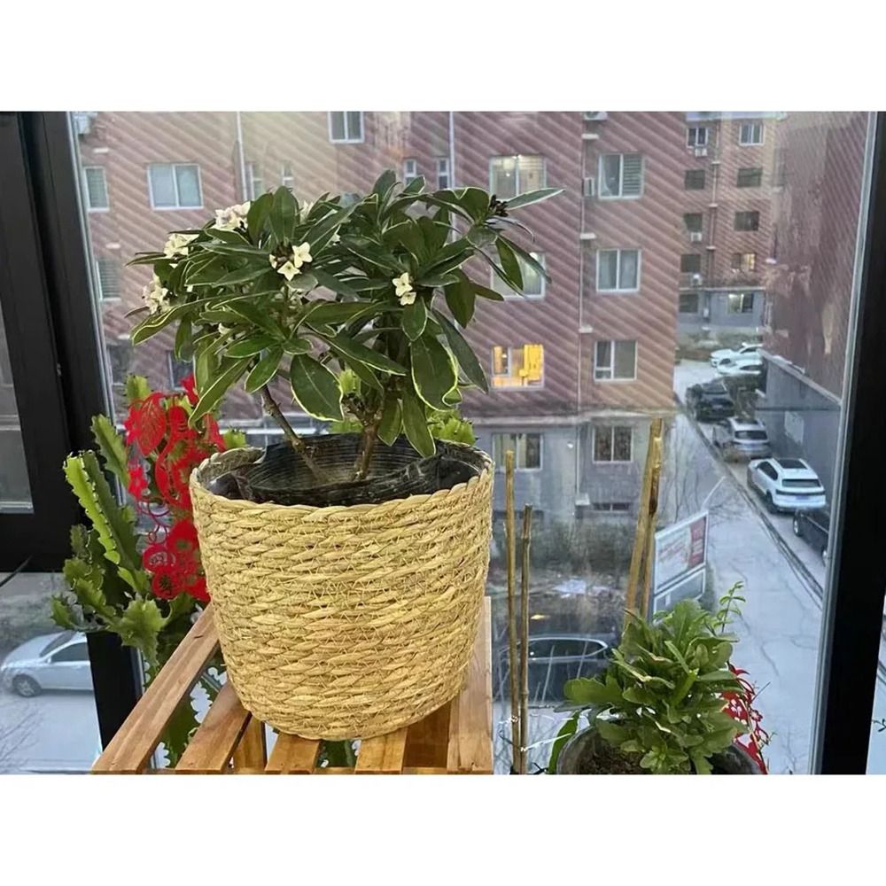 1Pcs For Garden Terraces Flowe - Rattan Plant Basket recension och pris